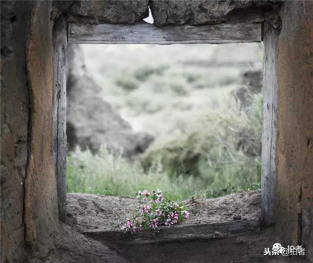 十二年，一纪一轮回｜新京报摄影记者尹亚飞年度作品