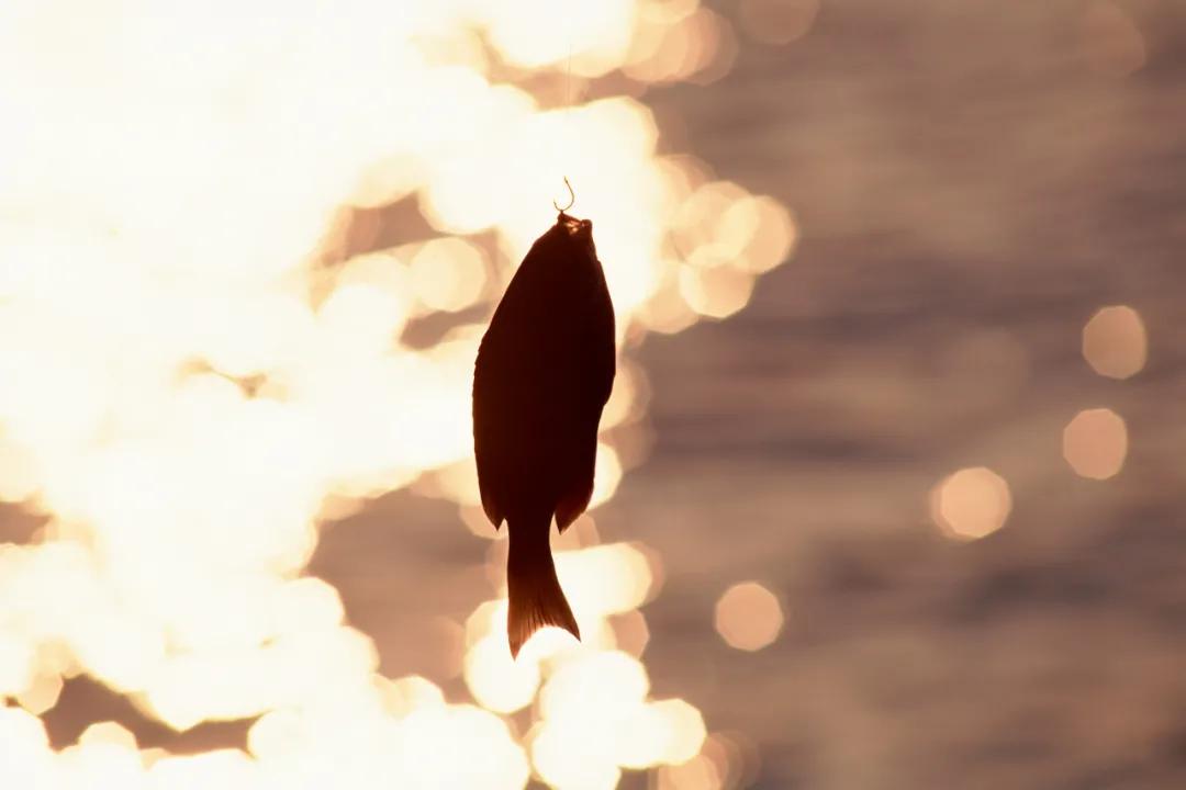 三十岁以后的男人为何爱钓鱼？柳宗元这首千古绝句告诉了我们答案