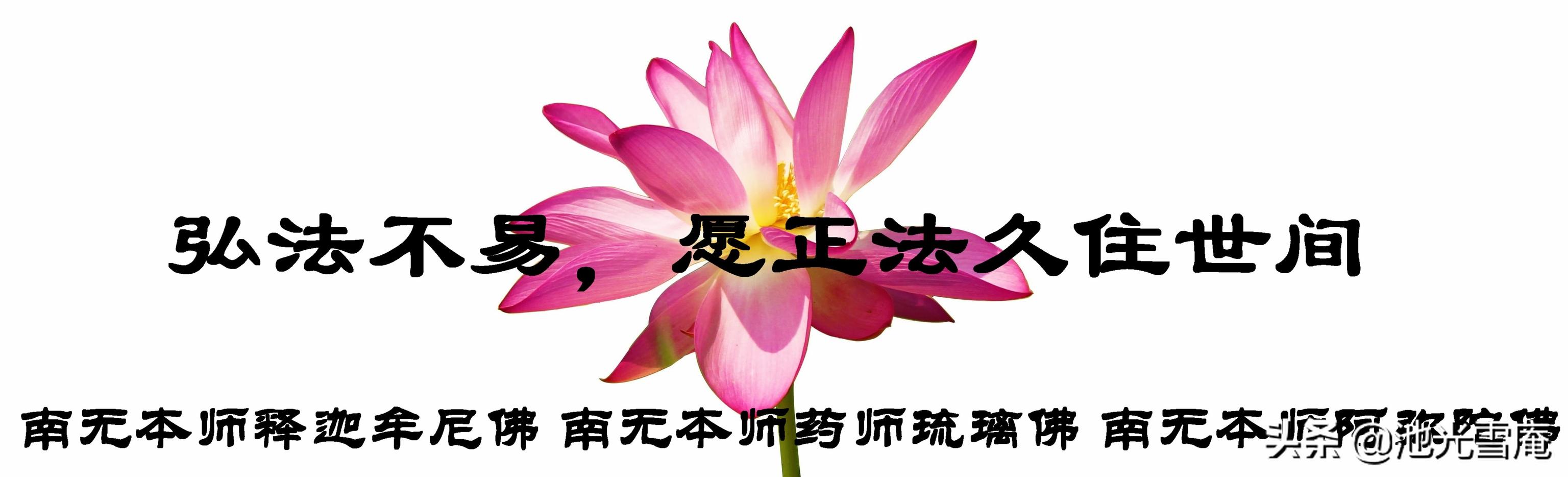 李白50岁隐居庐山写下的诗句,李白写诗九华山