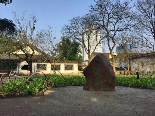 过年想去绍兴玩两天有哪些攻略,春节绍兴自由行攻略