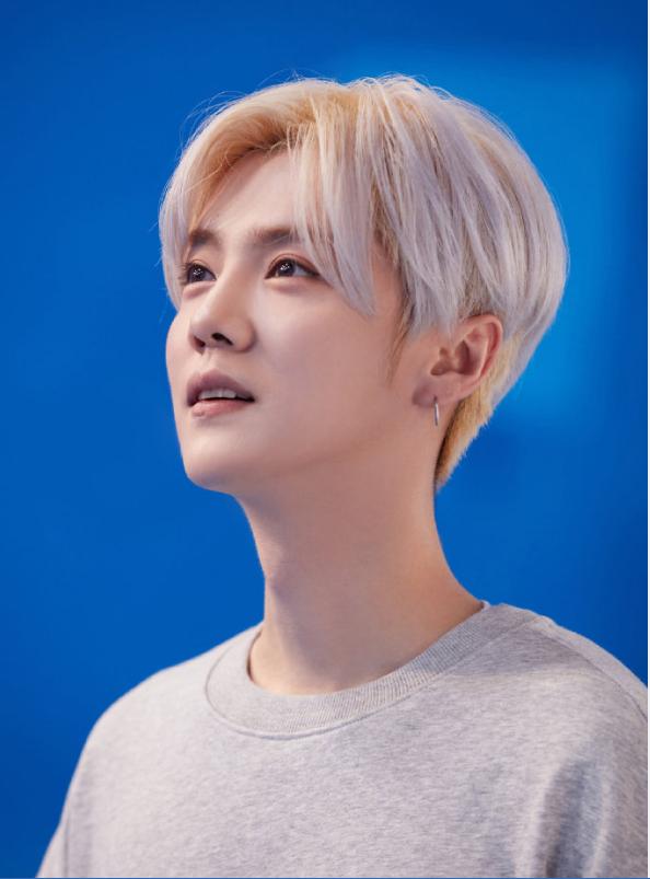 鹿晗捐赠公益球场有哪些,鹿晗捐赠公益足球场多少钱