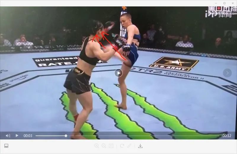 张伟丽输了赢了,张伟丽输过没