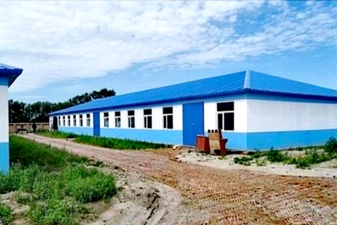 养鸡场为什么爱抓青年鸡？答案在文章里，还有入场工作也要做好