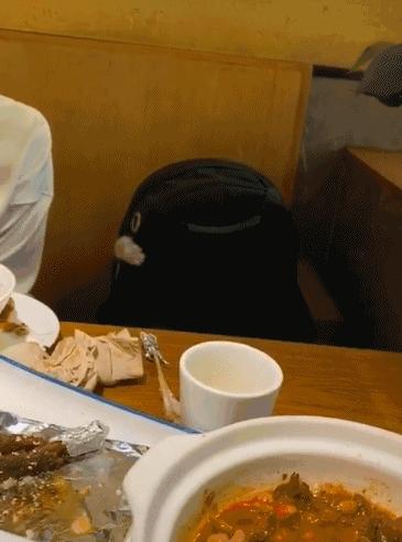 餐厅吃饭发现对面书包伸出“毛手”乱挥，网友被萌翻：好可爱