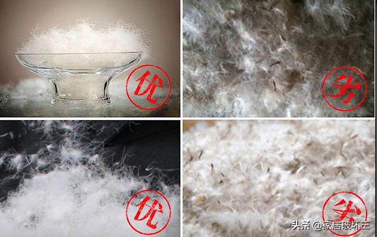 羽绒被以次充好会判刑吗,羽绒被骗局揭秘视频