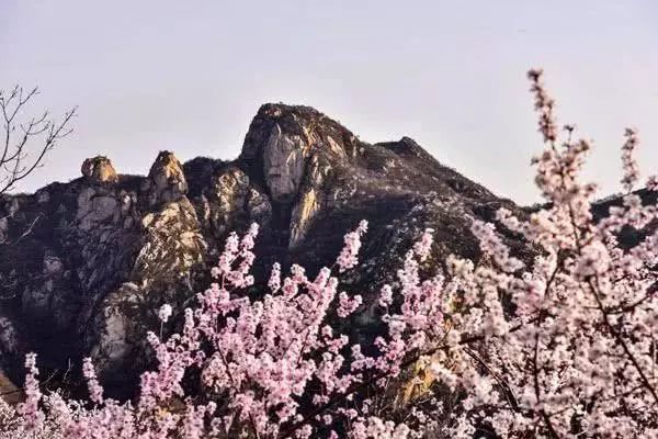 京郊四月美景,京郊四月