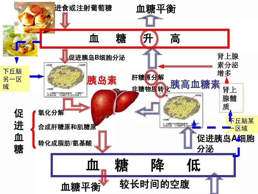 内分泌科糖尿病,内分泌科低血糖处理
