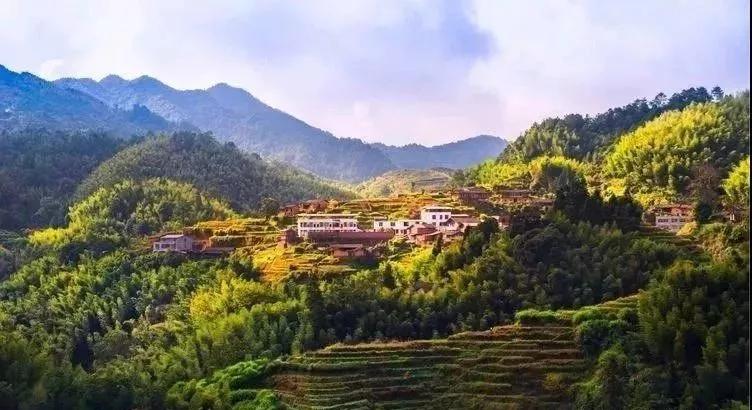 漳平少数民族特色村,漳平历史文化名村