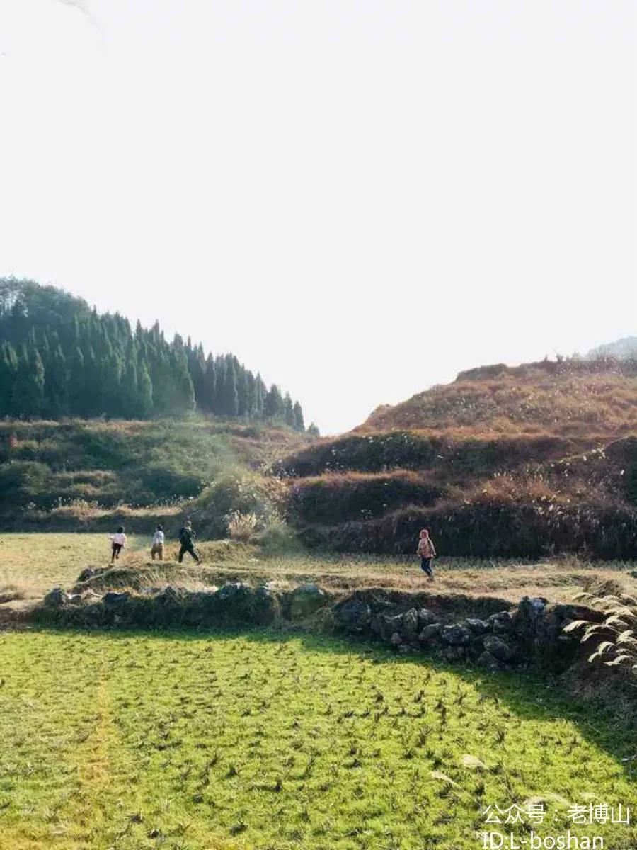 秋风起蝉蜕飘落,秋风起刘禹锡