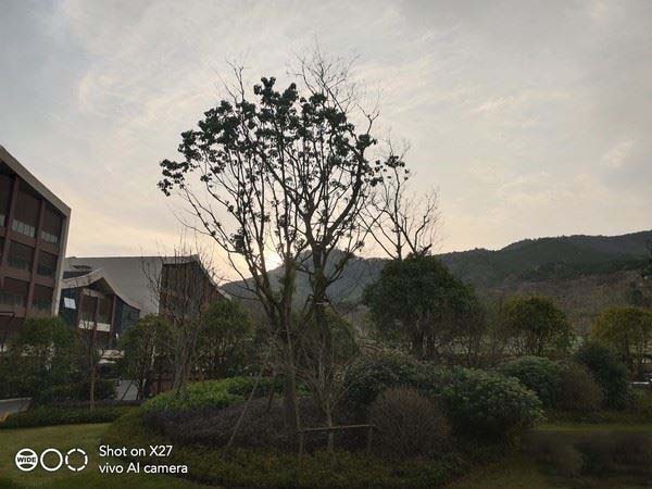 vivox27手机怎么样好用吗,vivox27和vivox60哪个好