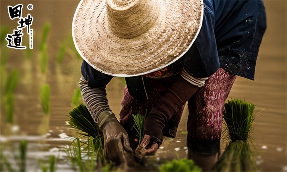田坤道粮油总部招商加盟,田坤道粮油在市场口碑咋样
