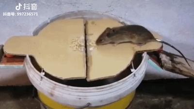 家里突然冒出这东西，西安一女子凌晨起夜被抓伤！医生：一旦发病死亡率很高