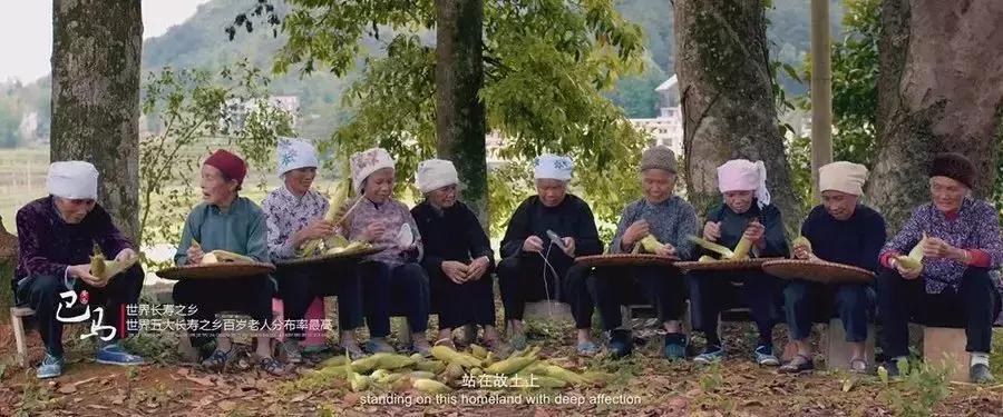 探秘广西巴马长寿之旅,广西巴马长寿探秘之旅