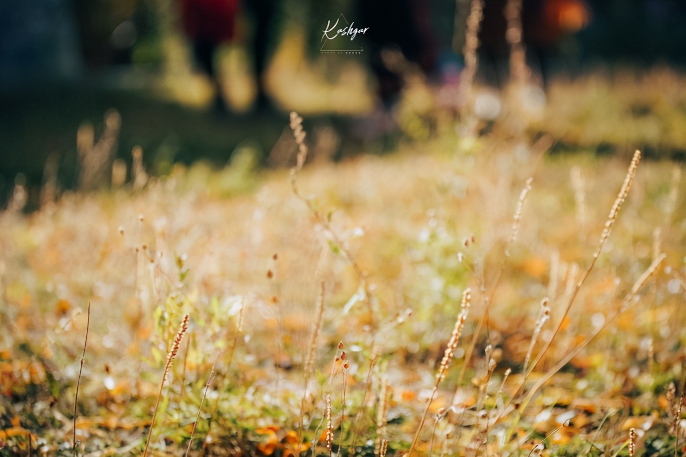 大美*疆新**，一个快递不包邮的地方，藏着不一样的异域风情