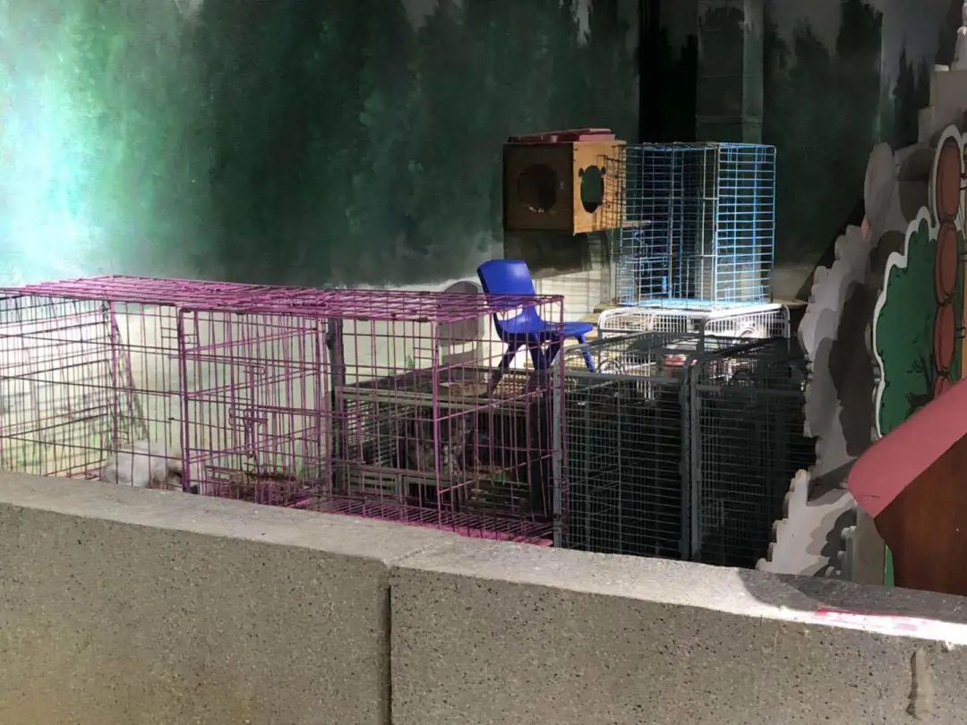 这样的动物园，大家都不要去