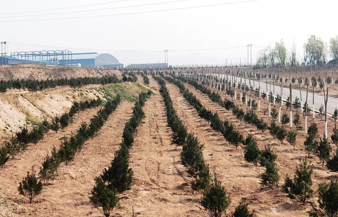 峰峰矿区哪个乡镇最好,峰峰美丽乡村都有哪些