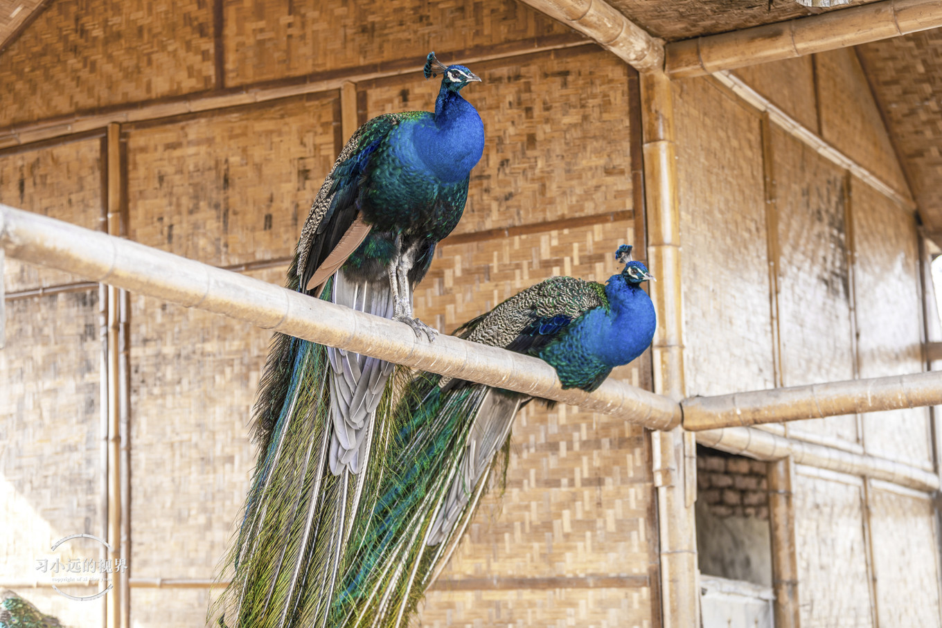 合肥万佛湖二日游攻略,合肥市区旅游攻略一日游