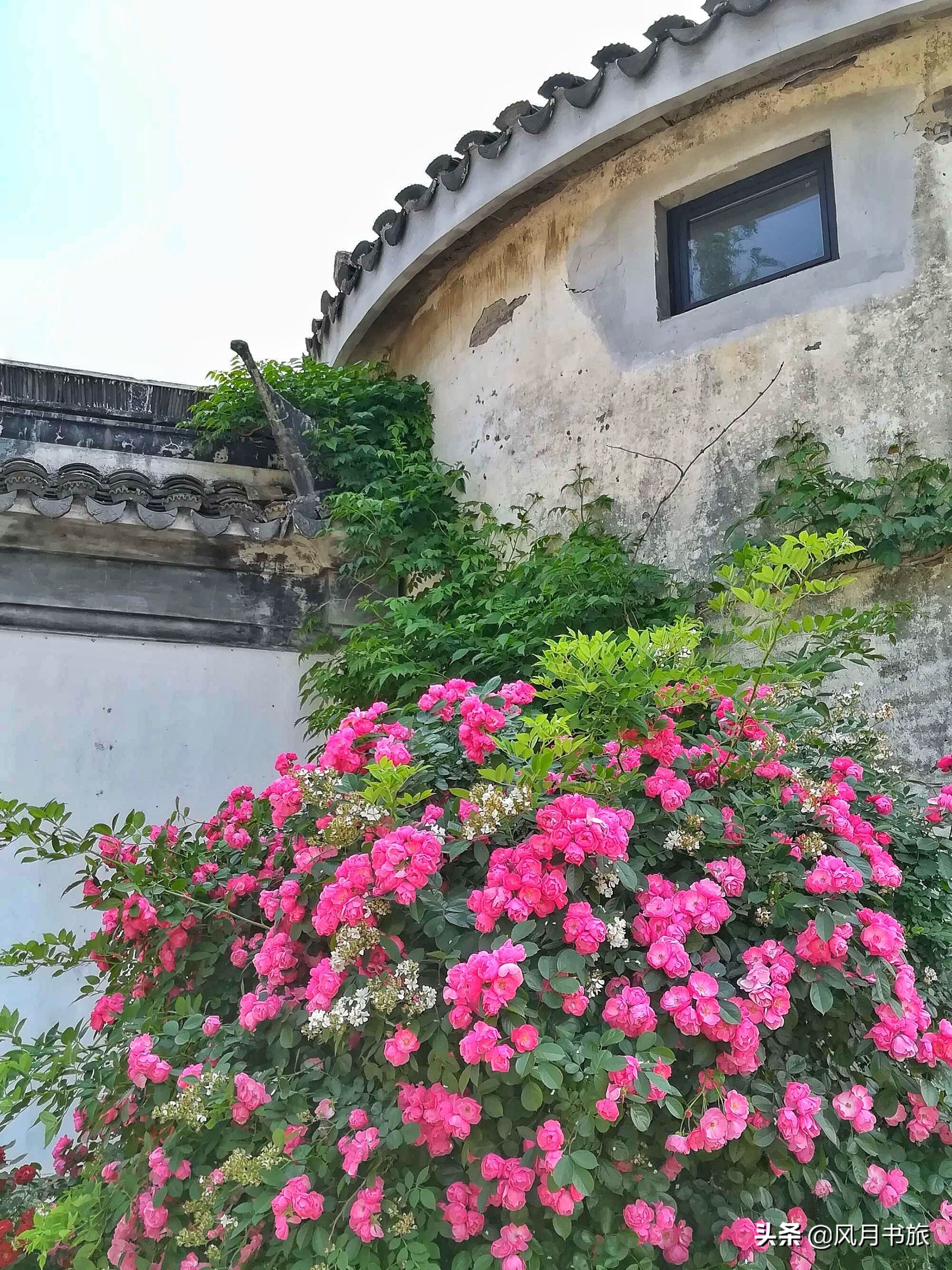 苏州徽派建筑景点,苏州新晋打卡景点在哪里