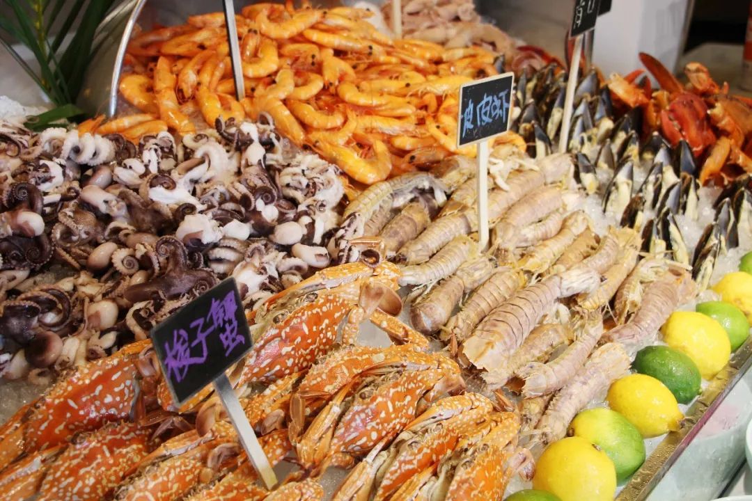 成都海鲜自助餐499元一个,成都生蚝吃到饱自助餐