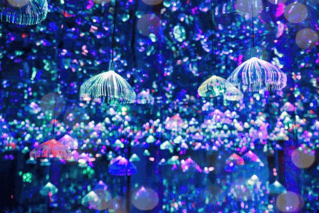 压箱底攻略,观音山最佳打卡点