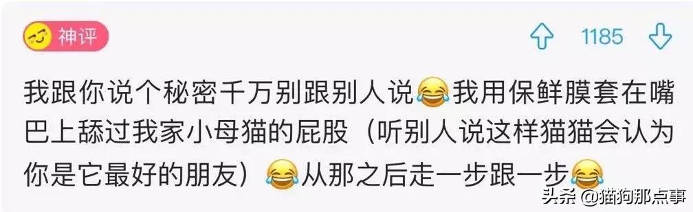 爱我，就给我舔屁股吧