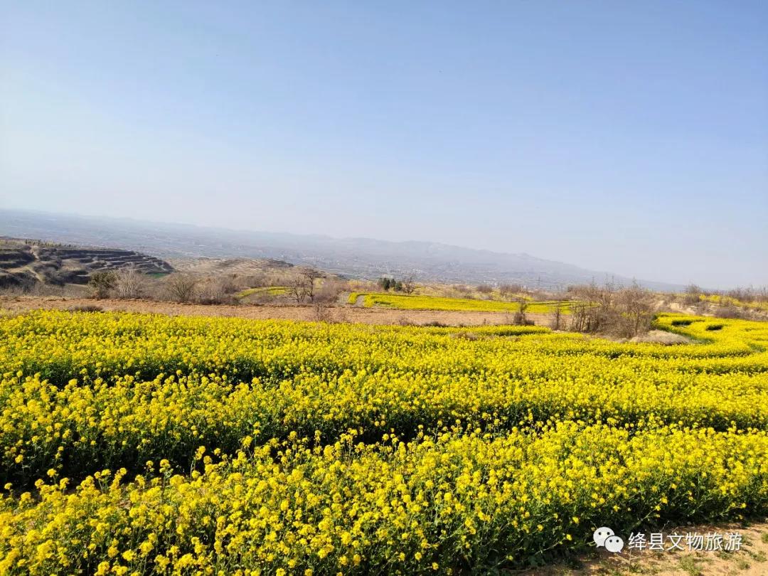 美丽乡村百花开,美丽乡村百花节