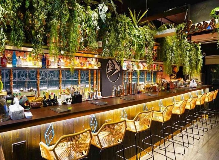 国内目前最好的精酿啤酒设备,福建精酿啤酒设备一套多少钱