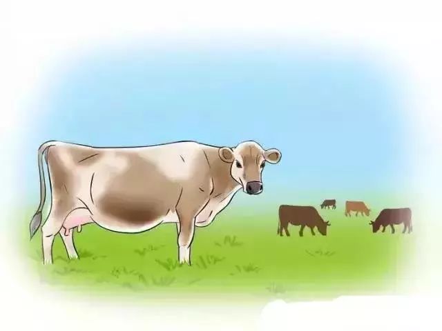 怎么辨别奶牛的奶真假,奶牛分娩前有哪些征兆