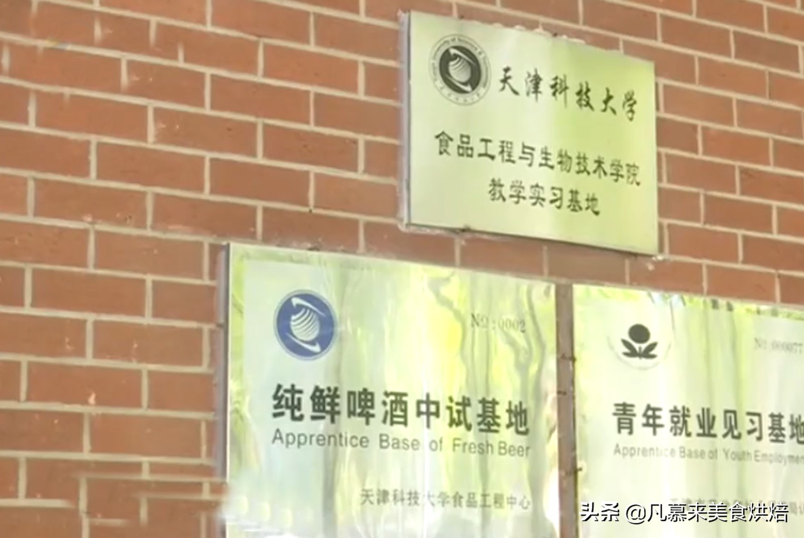 天津科技大学专家解密：1元啤酒？精酿啤酒和工厂啤酒的区别？