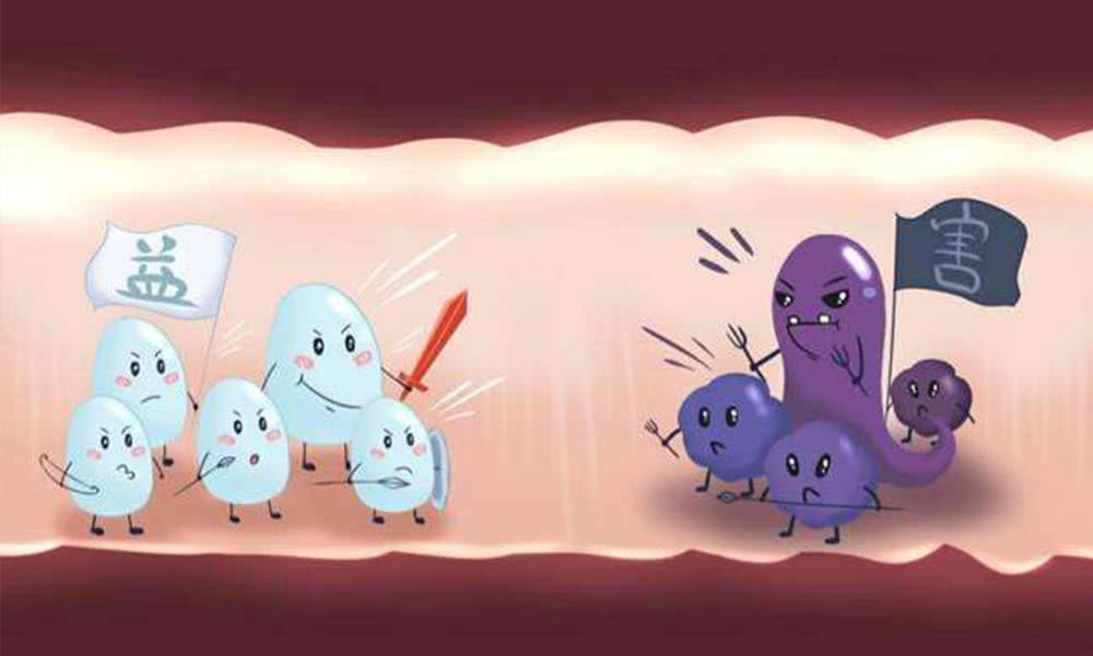 给孩子选的益生菌哪个品牌靠谱,中国台湾宝宝益生菌有哪些牌子