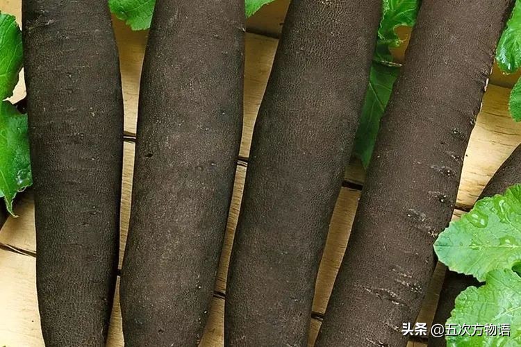 欧洲十大奇怪蔬菜 (欧洲冷门蔬菜)