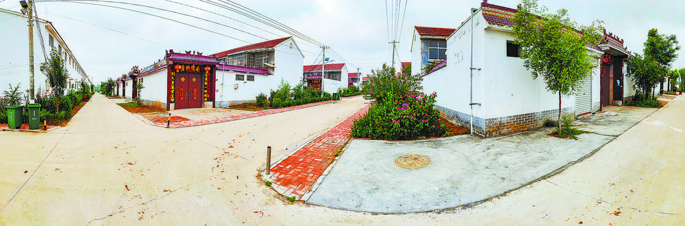 成武县天宫庙镇翟楼村：龙头企业带动共建美丽家园