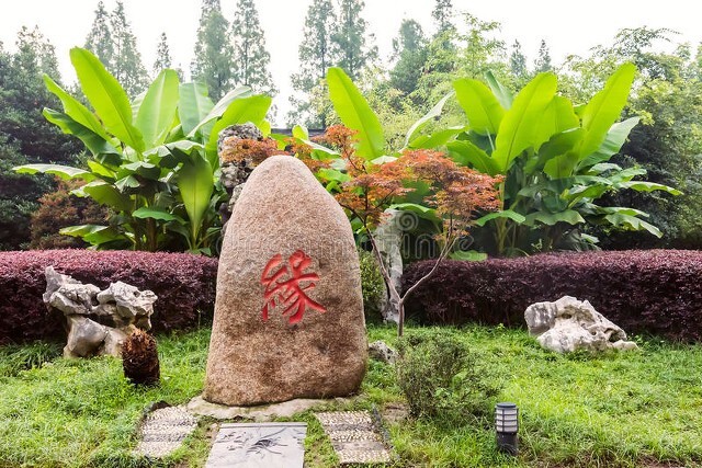 散文诗女作者,关于女人的散文诗