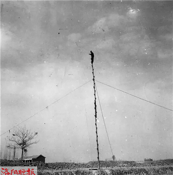 探秘二里头：寻找华夏之“夏”，他们走了100年