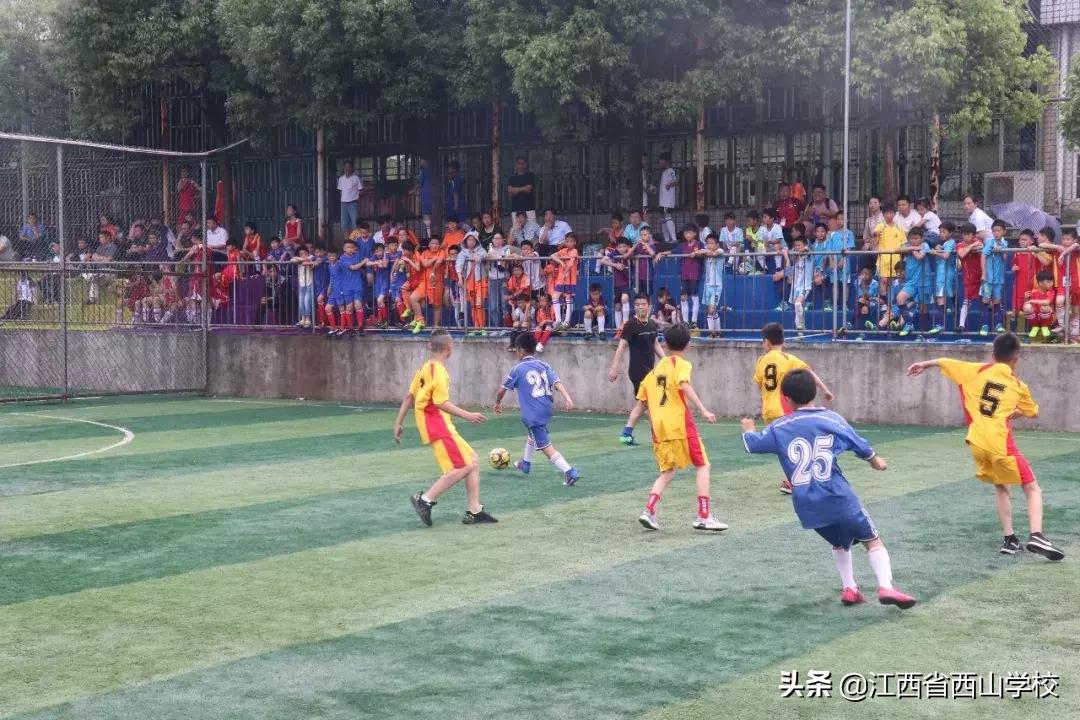 捷报赛事,2021年滕王阁杯排球冠军