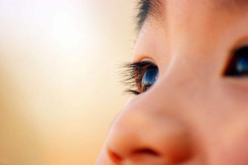 一天12小时对着电脑怎么保护眼睛,上班对着电脑眼睛受不了怎么办