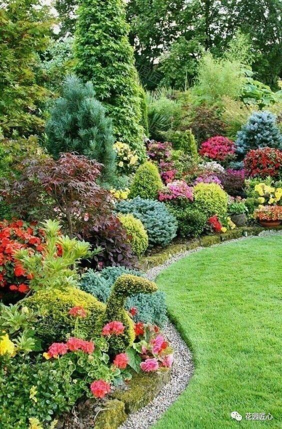 挪威云杉夏天怎么养,挪威云杉温和净肤