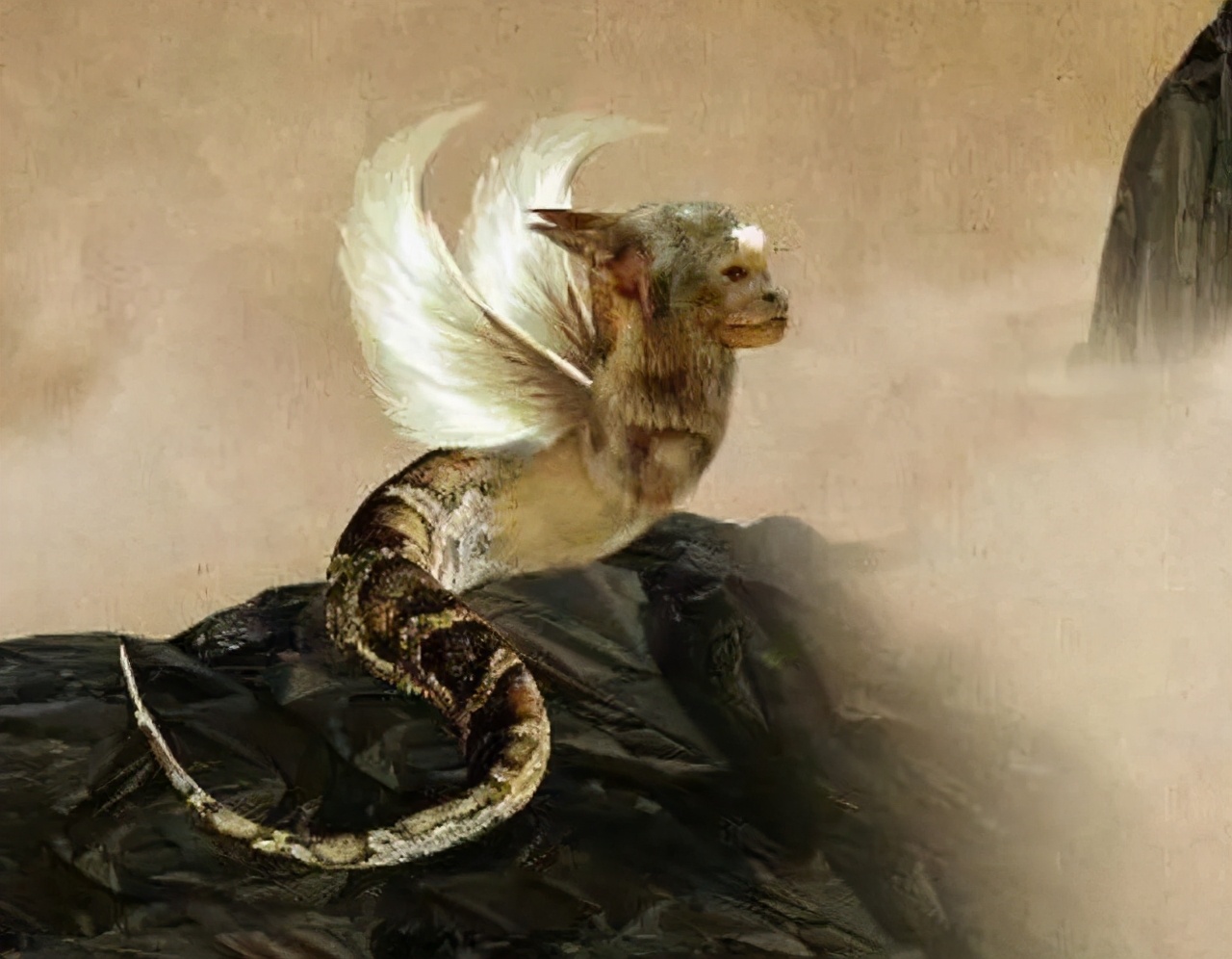 叠词听起来可爱的名字,叠词真的很可爱