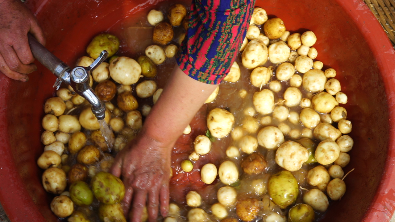 恩施炕洋芋的视频,恩施炕土豆特产视频