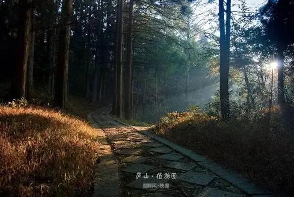 江西十大旅游秘境,春节绍兴去江西十大最美自驾路线