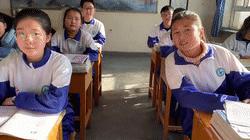 新启航2015,2020年新启航