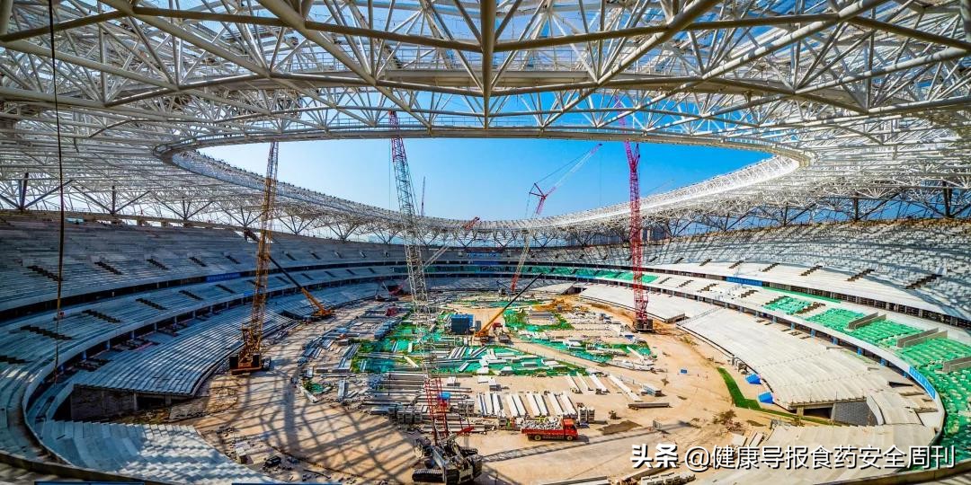 西安世园会石榴花,西安石榴花