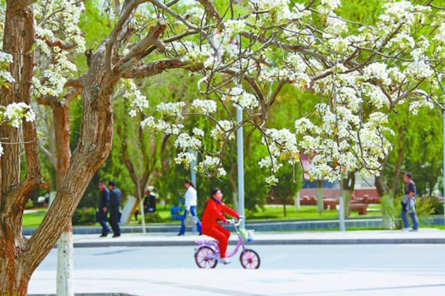 石油城市库尔勒,石油新城库尔勒
