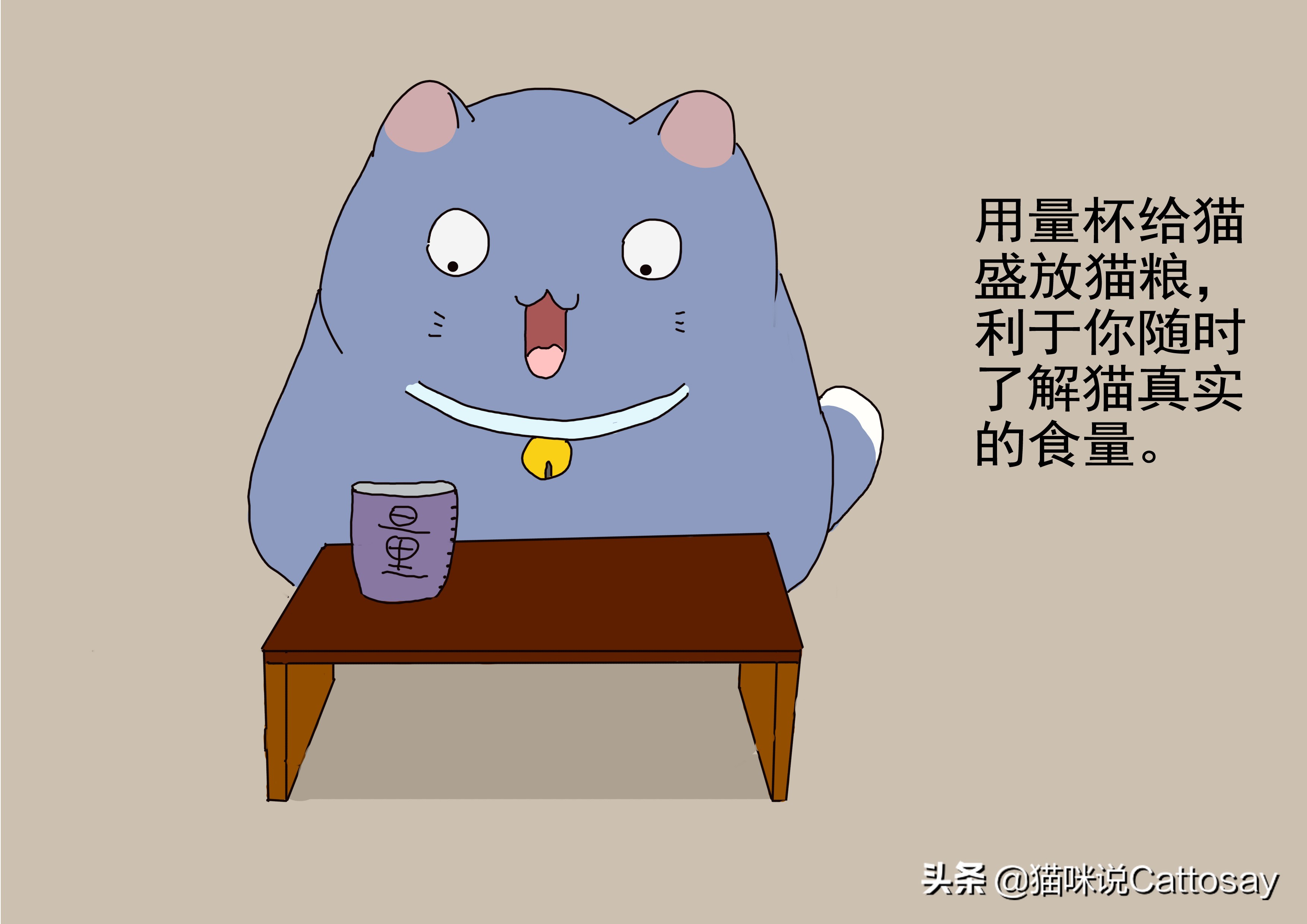 胖猫减肥最有效的方法,胖猫减肥励志视频