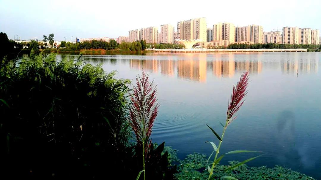 城南和城东,盐城城南和城东哪个更值得买