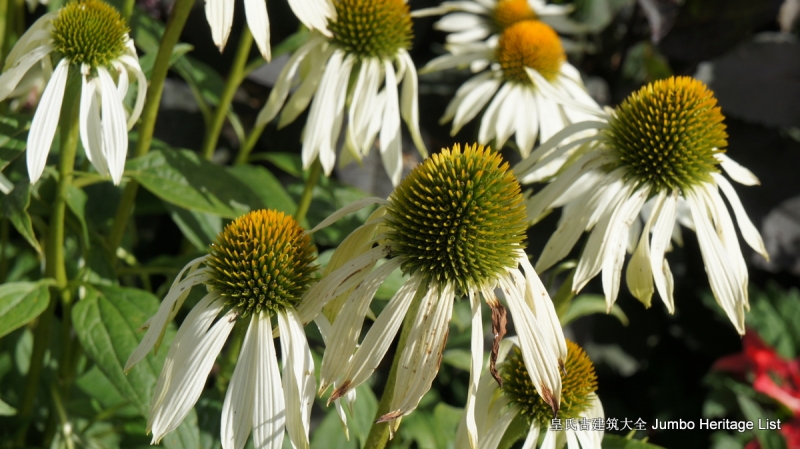 第29回：名校毕业风光不再，穹顶之下天空湛蓝