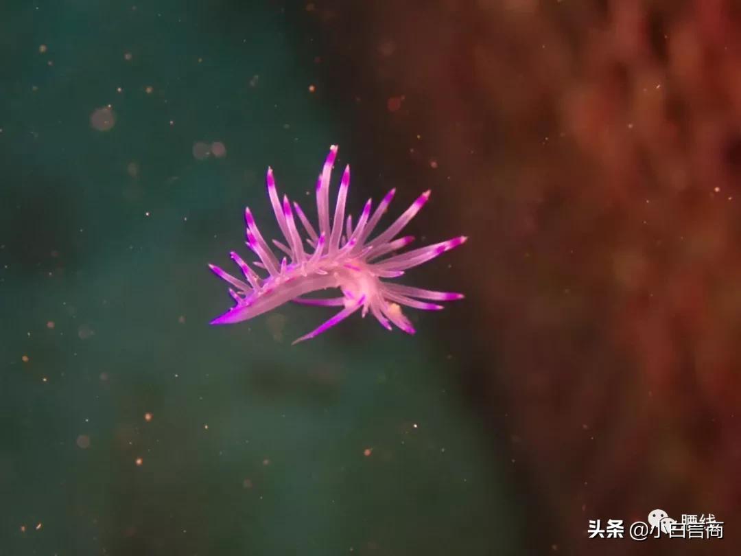 在腾讯工作10年,在腾讯工作3年