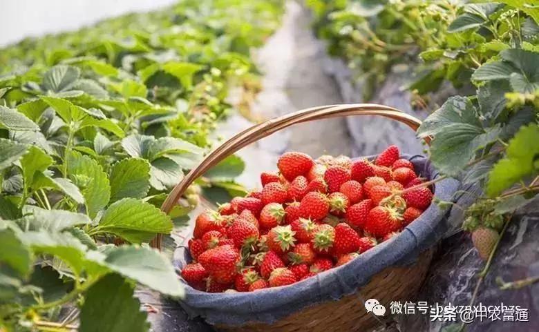 忻州保德好玩嘛,山西保德去哪玩