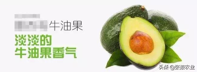 牛油果健康是噱头吗,牛油果健康骗局是怎么回事