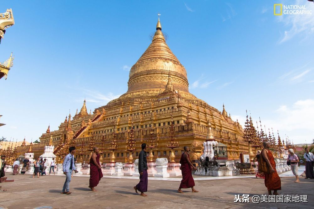 一叶一菩提由来,一叶一菩提是什么特色